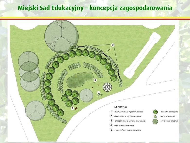 Białystok. Powstanie sad, jakiego jeszcze nie ma w kraju [ZDJĘCIA]