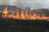 Tragiczny pożar traw na działce w Mnichu. Nie żyje 81-letni mężczyzna. Trawy płoną w całym woj. śląskim. Strażacy interweniowali 700 razy!