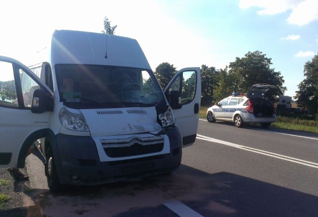 Do wypadku doszło około godz. 16.30 na drodze krajowej nr 46 Opole - Nysa.