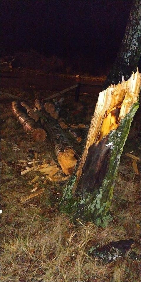 Powalone drzewo na drodze w Zwleczy w gminie Secemin. Strażacy w akcji (ZDJĘCIA)