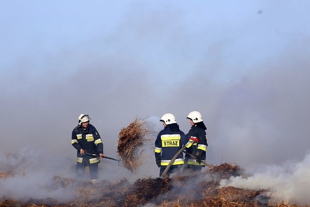 Pożar balotów siana w Jarcewie koło Chojnic