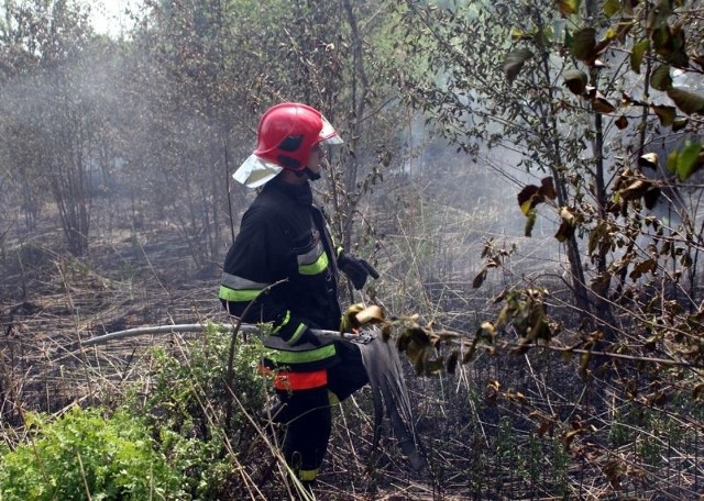 We wtorek około południa strażacy gasili pożar "na zwałce&#8221; w Dąbrowicy. Dzień wcześniej płonął las kilkaset metrów od tego miejsca.