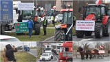 Rolnicze protesty w Tarnowie i regionie. Traktory blokują ważne ronda i mosty. Kierowcy muszą liczyć się z utrudnieniami w ruchu 