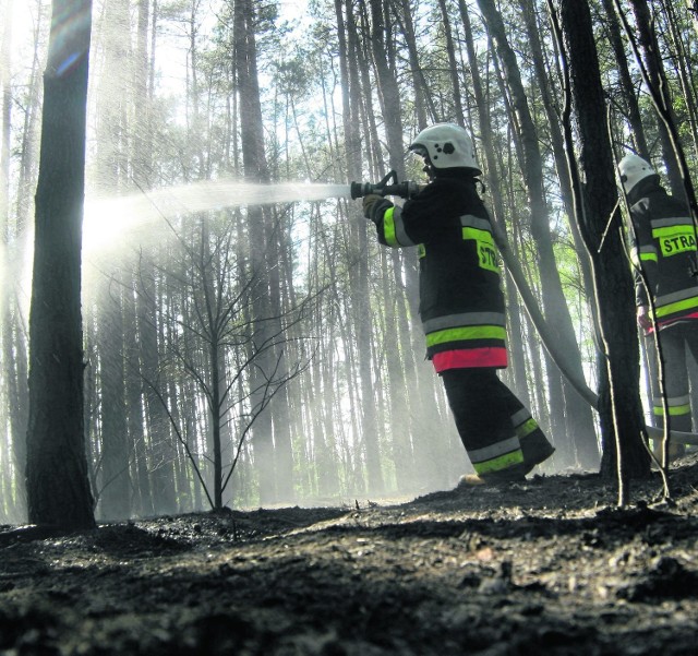 Od kilku tygodni strażacy zmagają się z pożarami lasów w okolicach Konopisk. Wcześniej wybuchały one w Olsztynie