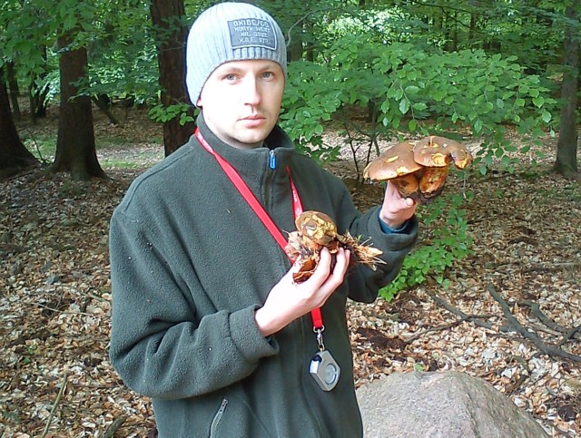 W lesie na terenie poligonu wojskowego w nadleśnictwie Sulęcin można znaleźć prawdziwki.