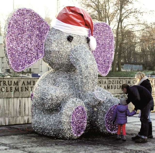 Słoń zyskał sympatię dzieci