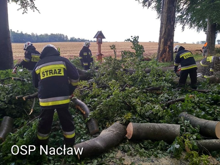 OSP Nacław: - O godzinie 17:05 zostaliśmy zadysponowani do...