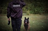 Brawo dla Polara! Policyjny pies tropiący odnalazł zaginionego 17-latka z gminy Tuszyn