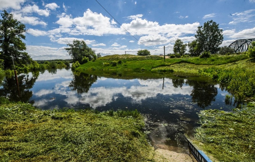 Powódź nam nie grozi? Wisła w Fordonie nie powinna...