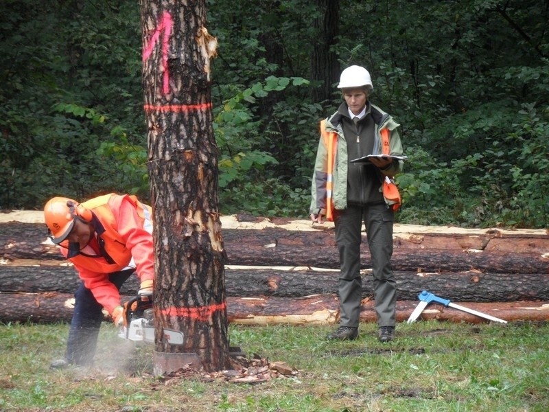 Cietrzewisko 2013 w Koszęcinie