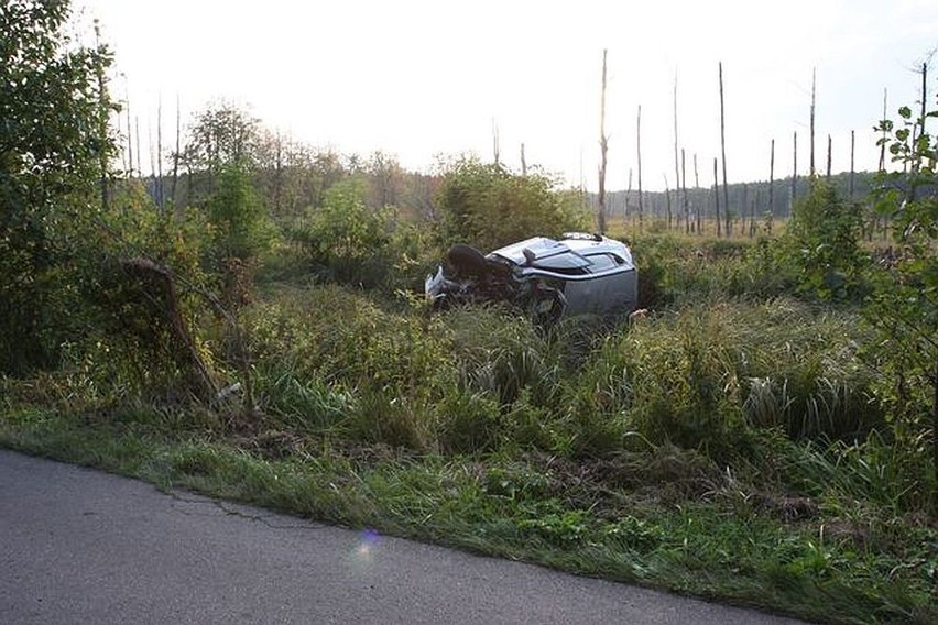 Po zderzeniu z łosiem auto dachowało i wpadło do rowu