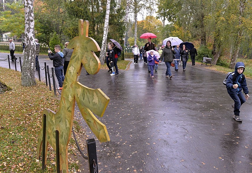 Dzień otwarty w gdańskim zoo. Tłumy ludzi przyszły zobaczyć...