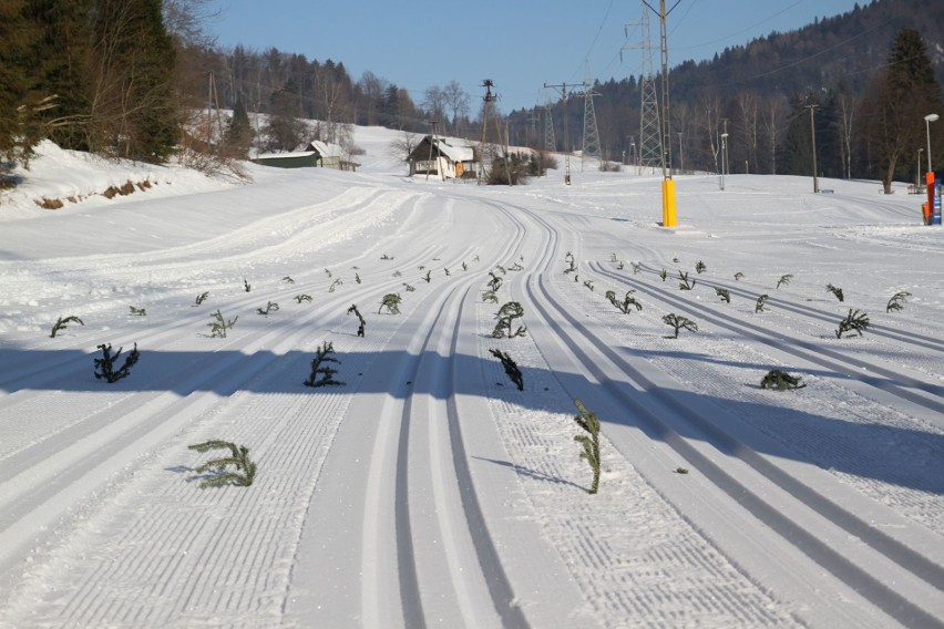 Trasa narciarstwa biegowego w Krynicy-Zdrój to atrakcja dla...