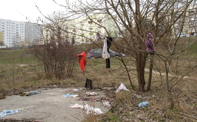 Problem śmieci wyrzucanych w pobliżu ulicy Radomskiej wciąż powraca. W wielu miejscach na terenie miasta jest podobnie.