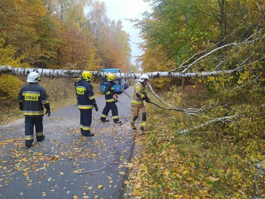 Wichura w gminach: Miastko, Tuchomie i Lipnica.