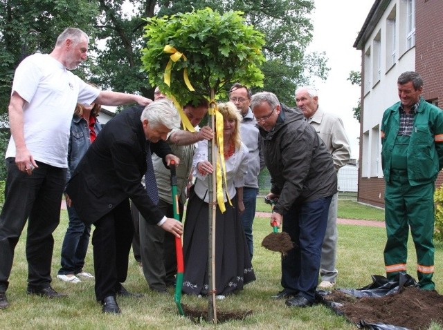 Dąb posadzili wspólnie Jan Leszek Wiącek, burmistrz Wołczyna oraz Hans Ulrih Ihlenfeld, burmistrz Hassloh.