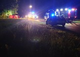 18-latek i 17-latka zginęli na drodze koło Kożuchowa, po uderzeniu autem w drzewo. Prokuratura ustala, jak doszło do wypadku