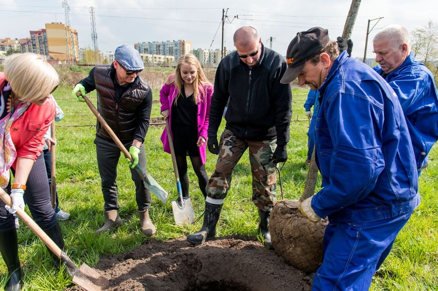 Wrocław: Politycy i artyści zasadzili 40 drzew. Głównie dębów i brzóz