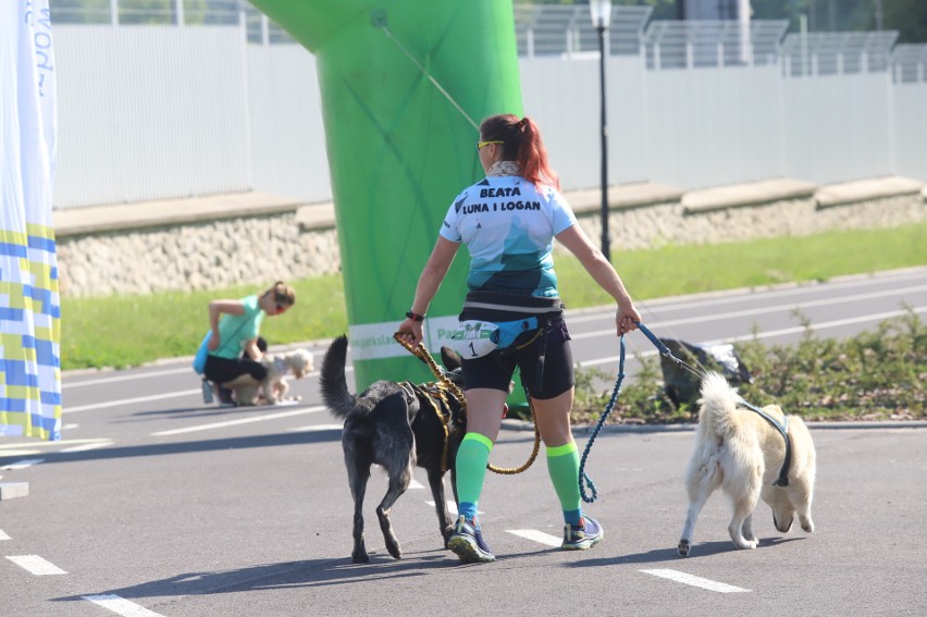 Silesia Psiaraton odbył się po raz pierwszy w Parku Śląskim...