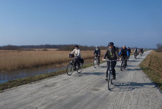 Rowerowe wycieczki w Parku Narodowym Ujście Warty odbywają się cyklicznie.