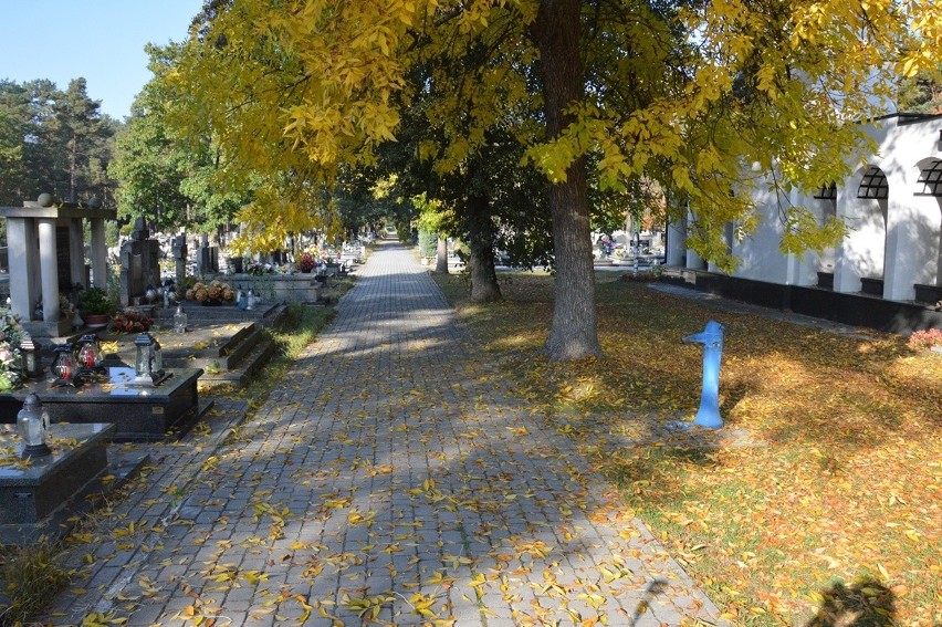 Rozpoczyna się remont i modernizacja alejek na cmentarzu komunalnym w Stalowej Woli. Zobacz zdjęcia i film