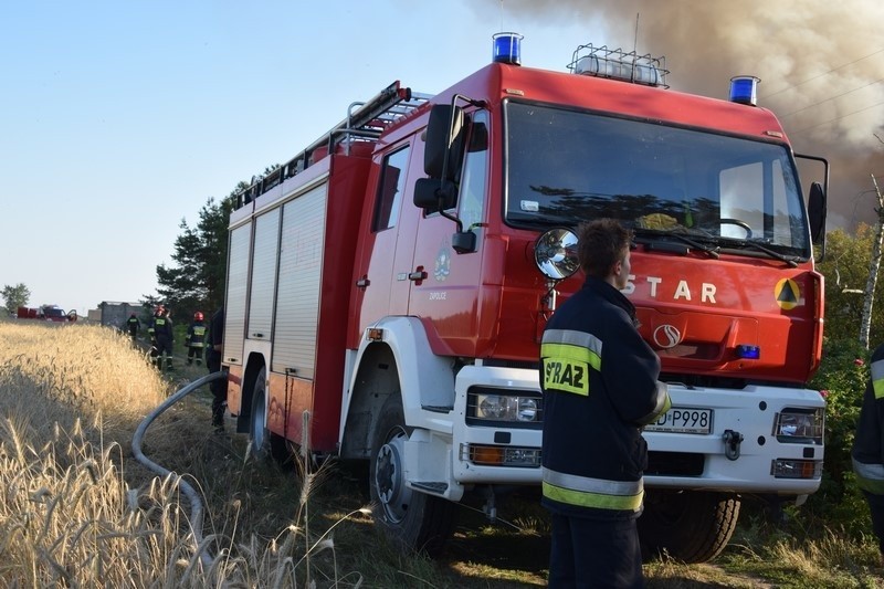 Pożar wysypiska śmieci w Mostkach koło Zduńskiej Woli