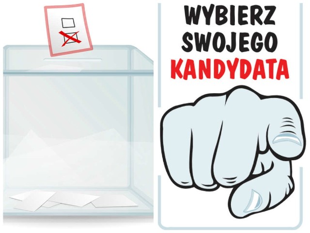 Prawybory 2014 w województwie lubuskim..