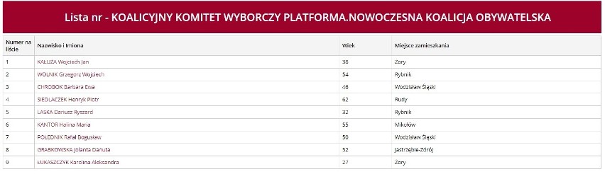 Kandydaci Koalicji Obywatelskiej (PO i Nowoczesna) w okręgu...