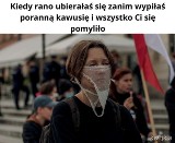 Nie noszą maseczek i protestują. MEMY po protestach antycovidowców. Zobacz najlepsze MEMY o epidemii i antycovidowcach 12.10.2020