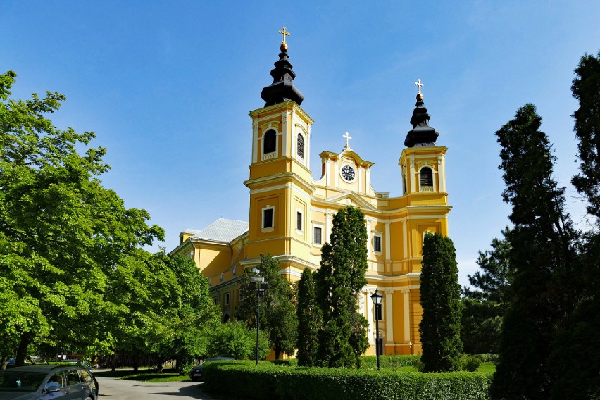 Widok na katedrę w Oradei (Rumunia). 

Domena publiczna