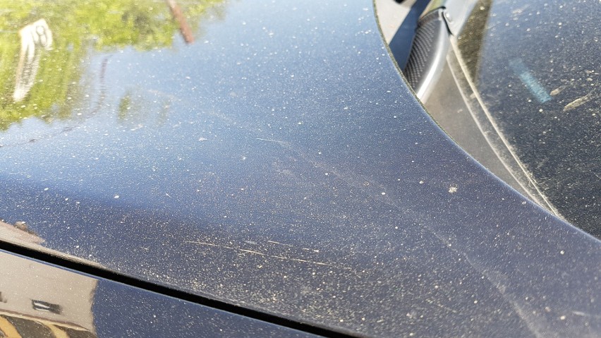 Od kilku dni na autach dostrzec można żółtawy pyłek. Widać...