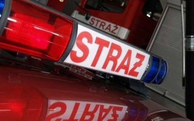 Pożar samochodu i garażu w Belsku Dużym. W akcji cztery zastępy strażaków