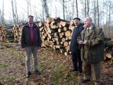 Poznań chce wykupywać tereny leśne od prywatnych właścicieli