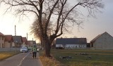 Wypadek w Walcach. 21-letni motocyklista zginął w wyniku uderzenia w drzewo