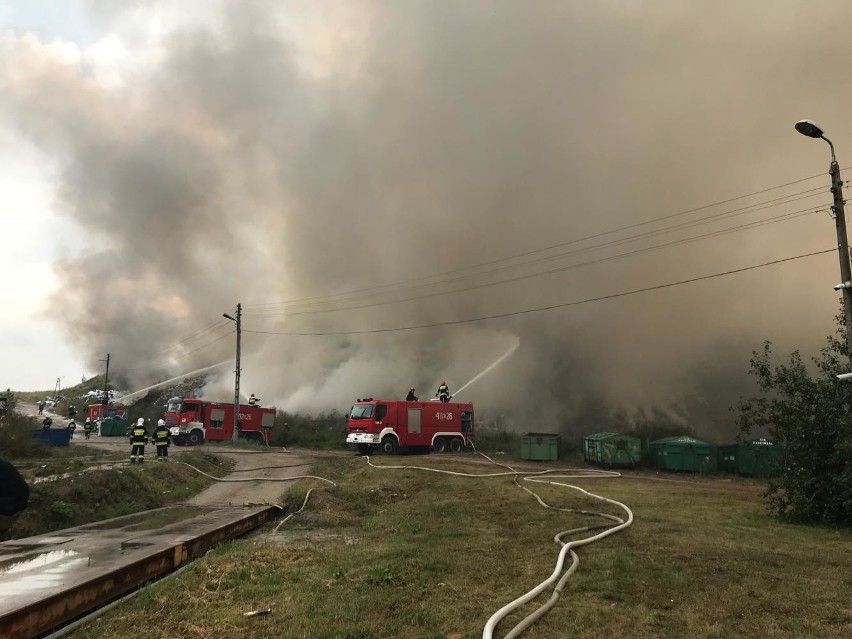 Studzianki. Pożar wysypiska śmieci gminy Wasilków gasi...