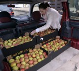 Caritas bierze jabłka wysyłane do Rosji [ZDJĘCIA] 