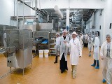 Mleczarnia inwestuje w ser i zwiększa zatrudnienie