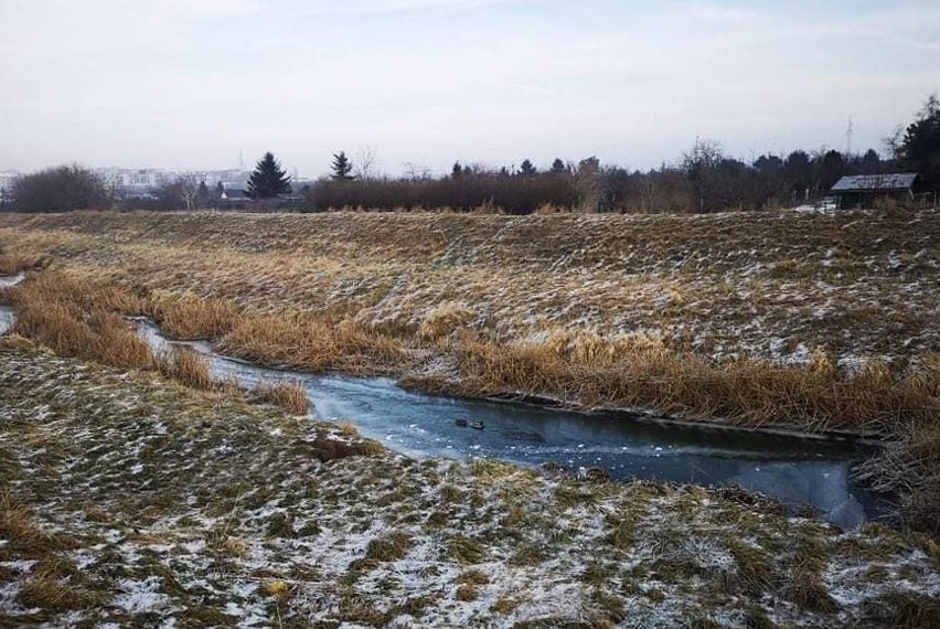 Kładka przerzucona nad Ślęzą w ciągu ulic Francuskiej i...