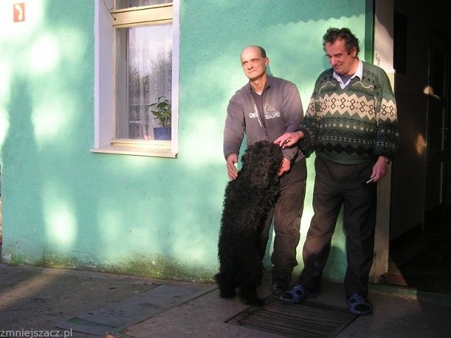 Bezpańskie i zagubione psy trafiają do schroniska w Białuniu. Opiekują się nimi bezdomni z noclegowni.