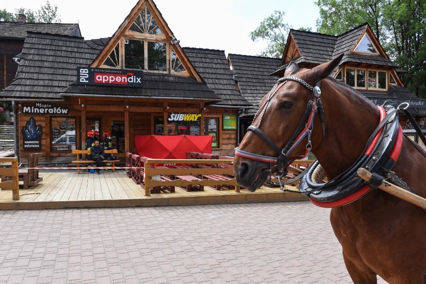 Zakopane. Śmierć na Krupówkach. Nieszczęśliwy wypadek?