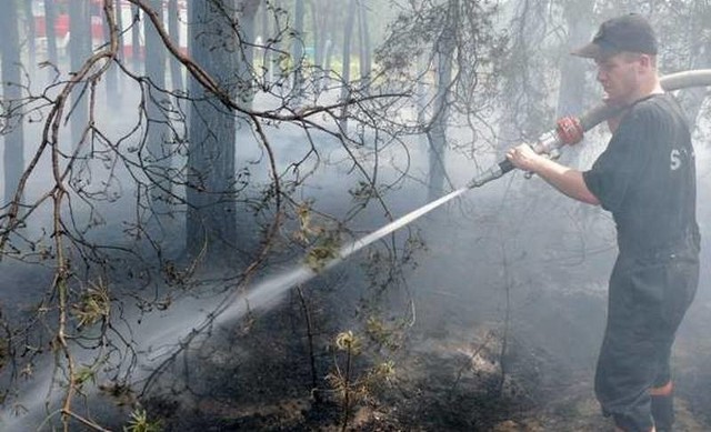 Gaszenie pożarów lasu jest bardzo trudne, ze względu na konieczność dotarcia do odludnych miejsc.