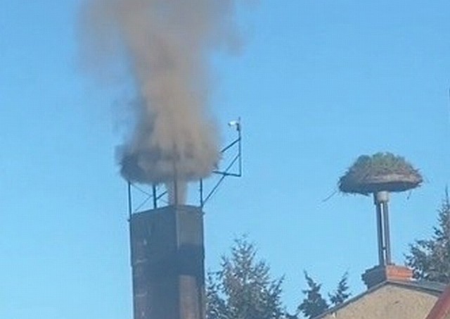 Dym z komina leci wprost na bocianie gniazdo.