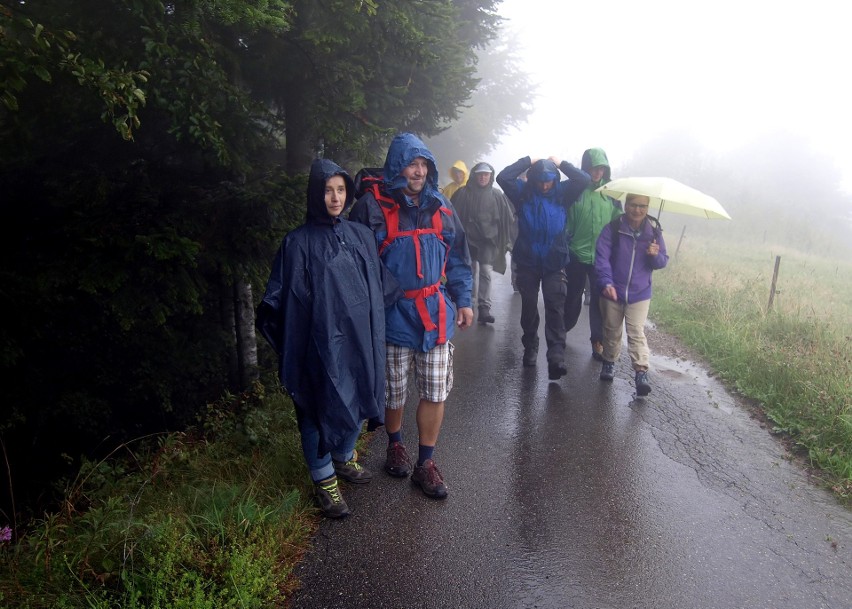 Odkryj Beskid Wyspowy. Mimo deszczu, wiatru i zimna blisko trzystu turystów pokonało Mogielicę
