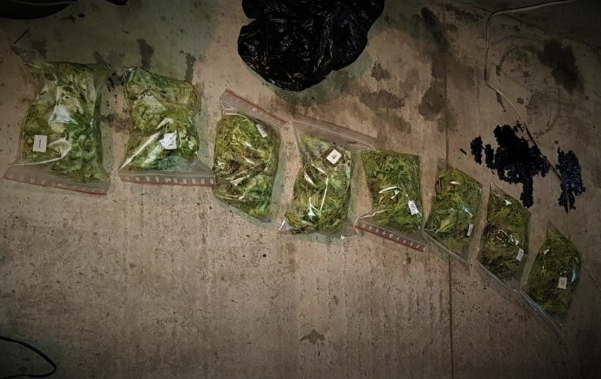 Strażnicy graniczni znaleźli dziuplę z kradzionymi autami wartymi 300 tysięcy złotych. Były też narkotyki (ZDJĘCIA)