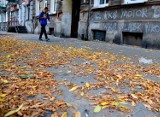 Kto posprząta śmieci i liście przy ul. Lubartowskiej? Chętnych wciąż brak 