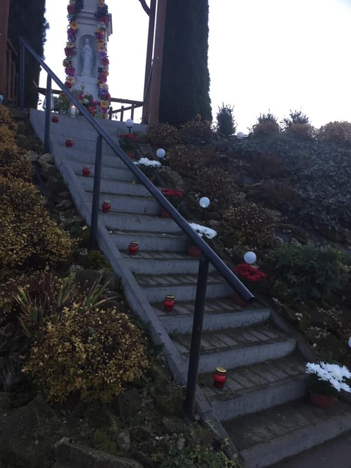 Mieszkanki Janowic pamiętały o zmarłych pochowanych na Cmentarzu Cholerycznym. Złożyły kwiaty i zapaliły znicze. Zobacz zdjęcia 