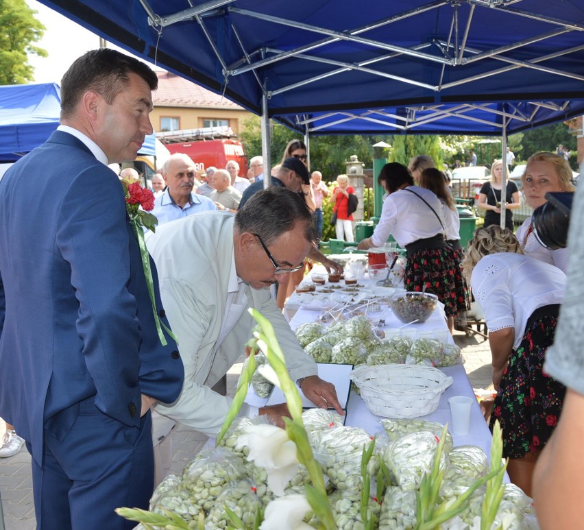 Cena bobu jest dobra, więc w Sudołku mogli świętować