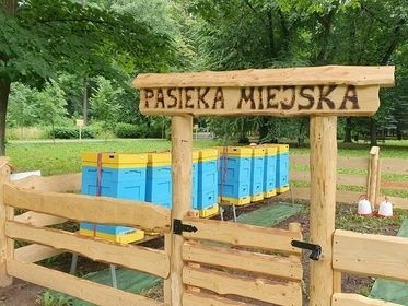 Pasieka Miejska powstała w Parku Habsburgów. Niebawem powiększy się o kolejne ule