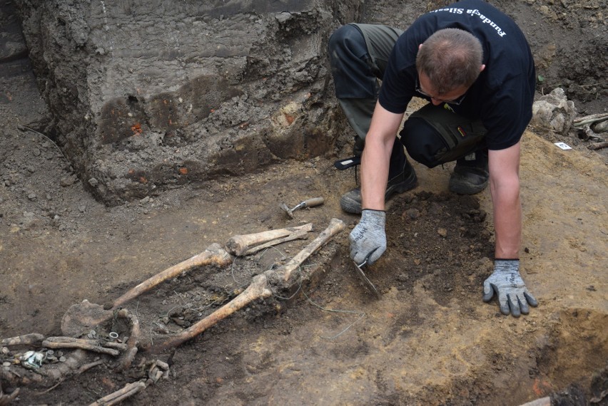 Szczątki niemieckich żołnierzy ekshumowano we Wroninie koło Kędzierzyna-Koźla. Co przy nich znaleziono?