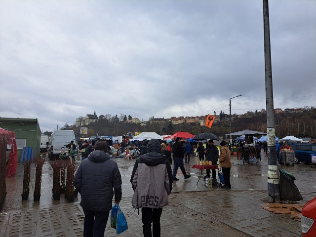 Pomimo kiepskiej pogody na giełdzie w Sandomierzu był spory ruch.